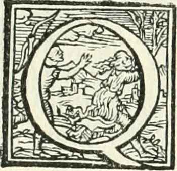 An illustration from Ragionamento di Lvca Contile sopra la proprietà delle imprese : con le particolari de gli academici Affidati et con le interpretationi et croniche, 1574, leaf 139