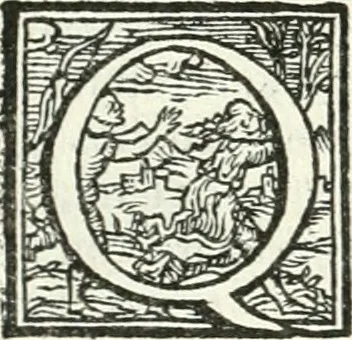 An illustration from Ragionamento di Lvca Contile sopra la proprietà delle imprese : con le particolari de gli academici Affidati et con le interpretationi et croniche, 1574, leaf 195