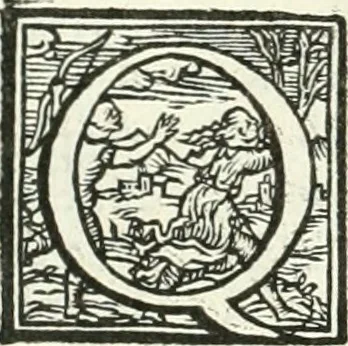 An illustration from Ragionamento di Lvca Contile sopra la proprietà delle imprese : con le particolari de gli academici Affidati et con le interpretationi et croniche, 1574, leaf 223