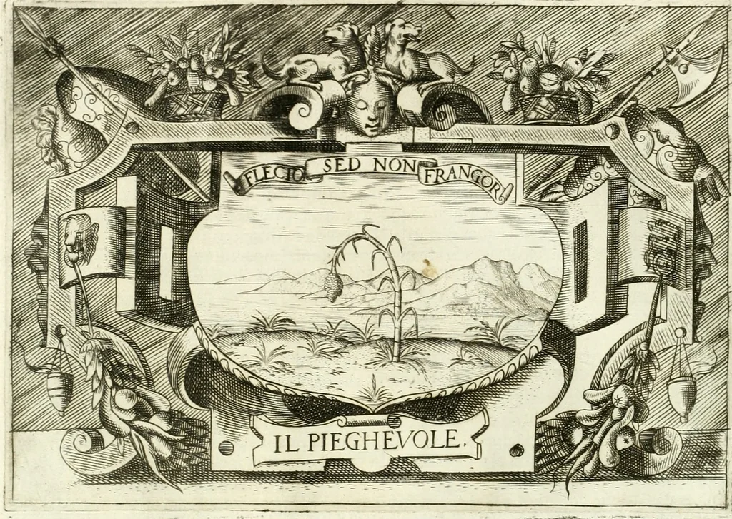 An illustration from Ragionamento di Lvca Contile sopra la proprietà delle imprese : con le particolari de gli academici Affidati et con le interpretationi et croniche, 1574, leaf 231