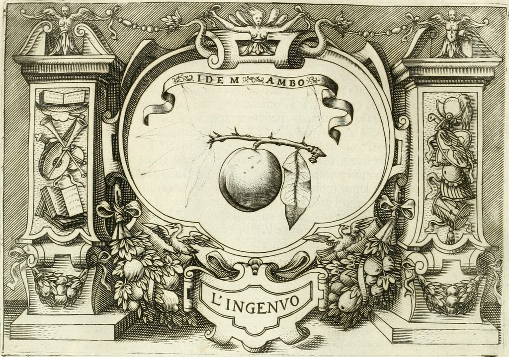 An illustration from Ragionamento di Lvca Contile sopra la proprietà delle imprese : con le particolari de gli academici Affidati et con le interpretationi et croniche, 1574, leaf 243
