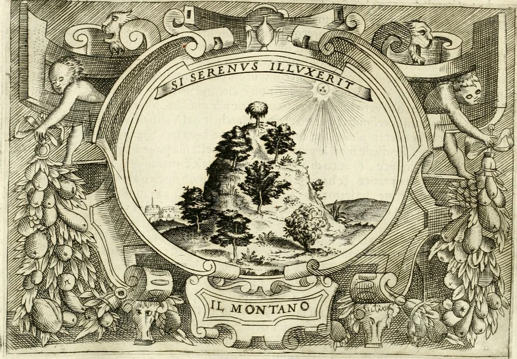 An illustration from Ragionamento di Lvca Contile sopra la proprietà delle imprese : con le particolari de gli academici Affidati et con le interpretationi et croniche, 1574, leaf 269