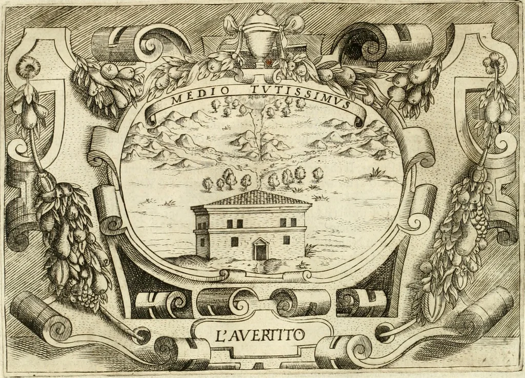 An illustration from Ragionamento di Lvca Contile sopra la proprietà delle imprese : con le particolari de gli academici Affidati et con le interpretationi et croniche, 1574, leaf 271