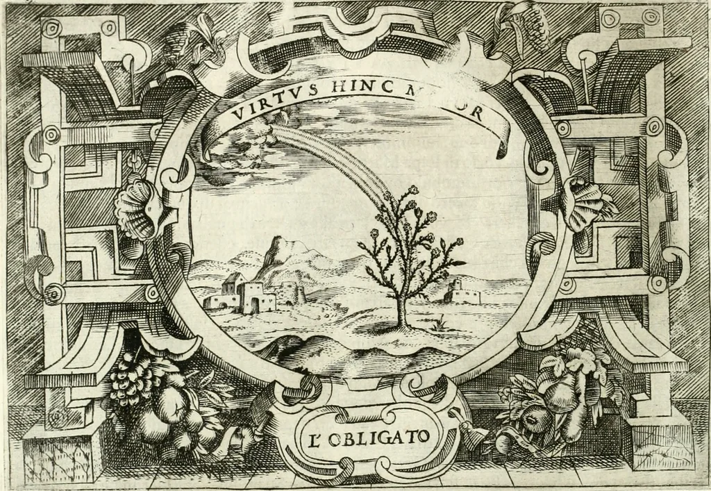 An illustration from Ragionamento di Lvca Contile sopra la proprietà delle imprese : con le particolari de gli academici Affidati et con le interpretationi et croniche, 1574, leaf 289