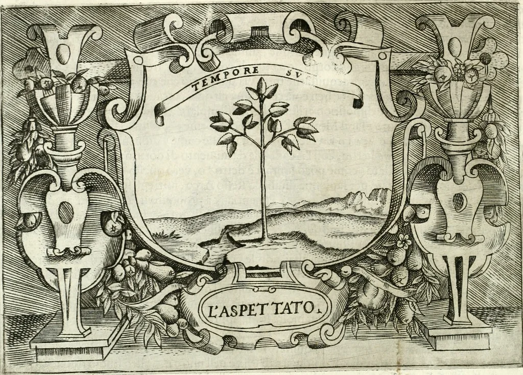 An illustration from Ragionamento di Lvca Contile sopra la proprietà delle imprese : con le particolari de gli academici Affidati et con le interpretationi et croniche, 1574, leaf 291