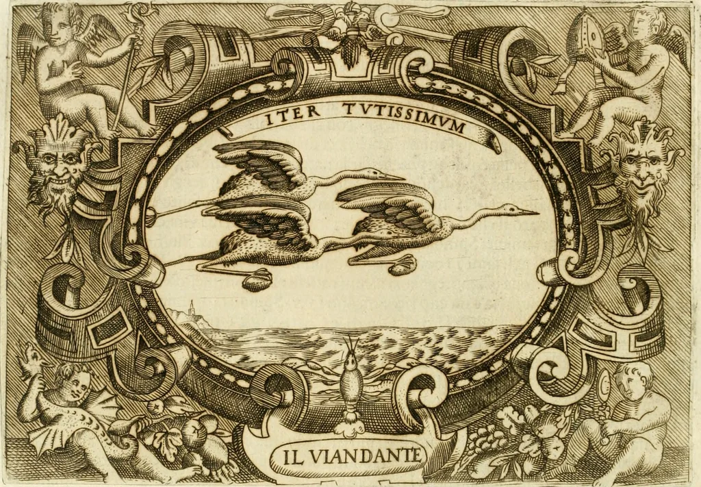 An illustration from Ragionamento di Lvca Contile sopra la proprietà delle imprese : con le particolari de gli academici Affidati et con le interpretationi et croniche, 1574, leaf 315