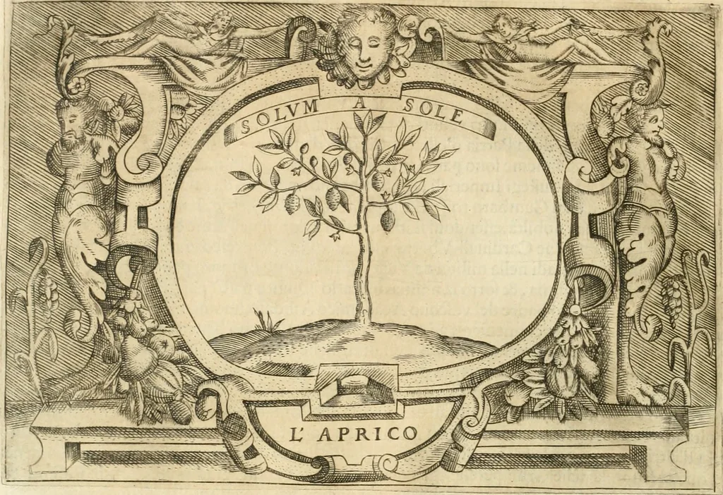 An illustration from Ragionamento di Lvca Contile sopra la proprietà delle imprese : con le particolari de gli academici Affidati et con le interpretationi et croniche, 1574, leaf 317
