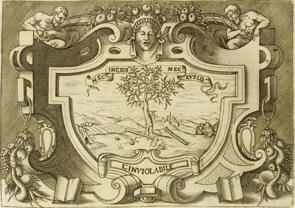 An illustration from Ragionamento di Lvca Contile sopra la proprietà delle imprese : con le particolari de gli academici Affidati et con le interpretationi et croniche, 1574, leaf 319