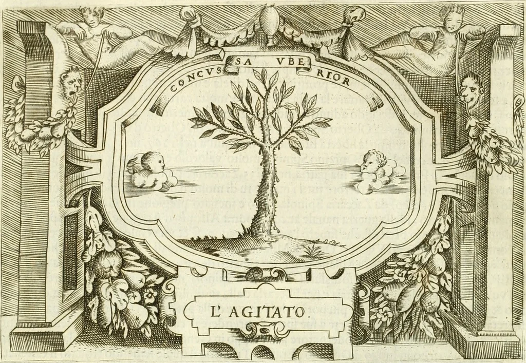An illustration from Ragionamento di Lvca Contile sopra la proprietà delle imprese : con le particolari de gli academici Affidati et con le interpretationi et croniche, 1574, leaf 323