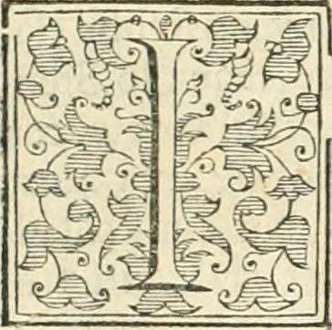 An illustration from Ragionamento di Lvca Contile sopra la proprietà delle imprese : con le particolari de gli academici Affidati et con le interpretationi et croniche, 1574, leaf 325