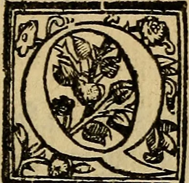 An illustration from Ragionamento di M. Givseppe Betvssi sopra il Cathaio, lvogo dello ill. S. Pio Enea Obizzi, 1573, leaf 378