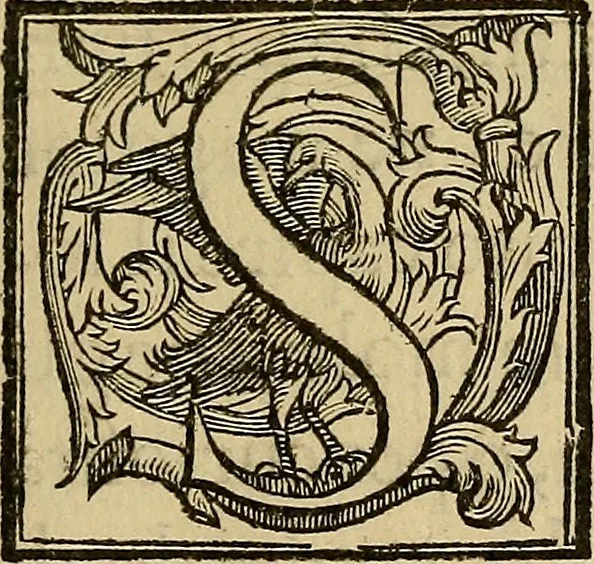 An illustration from Ragionamento di M. Givseppe Betvssi sopra il Cathaio, lvogo dello ill. S. Pio Enea Obizzi, 1573, leaf 6