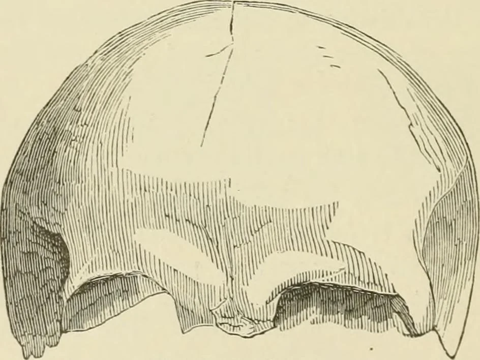 An illustration from Ragnarok: the age of fire and gravel, 1883, leaf 137