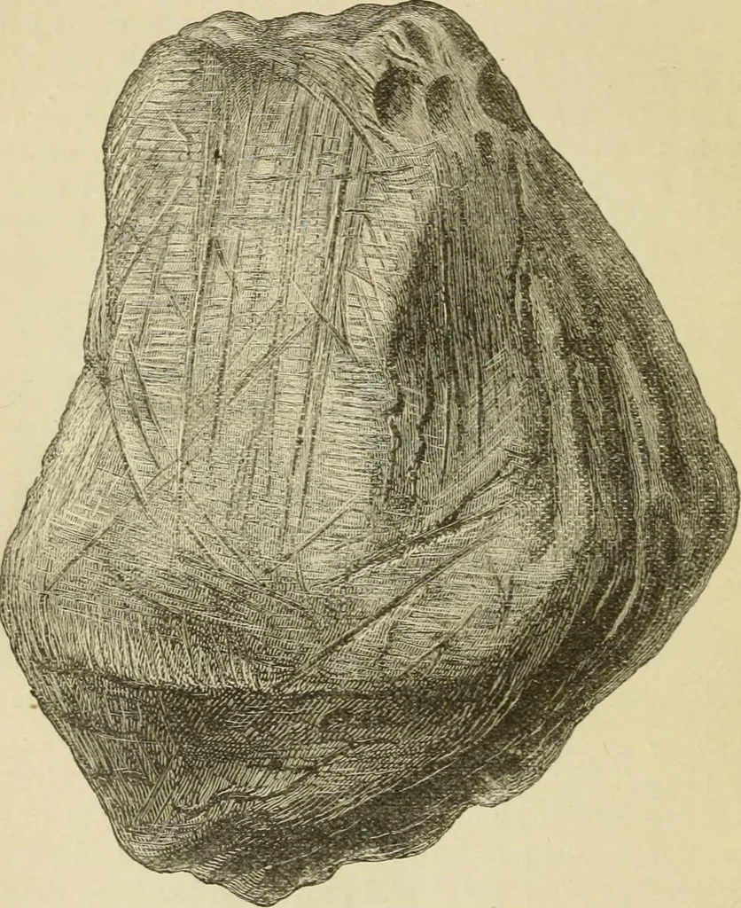 An illustration from Ragnarok: the age of fire and gravel, 1883, leaf 19