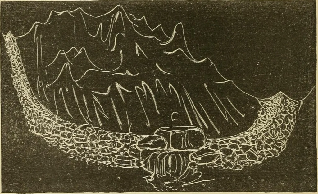 An illustration from Ragnarok: the age of fire and gravel, 1883, leaf 33