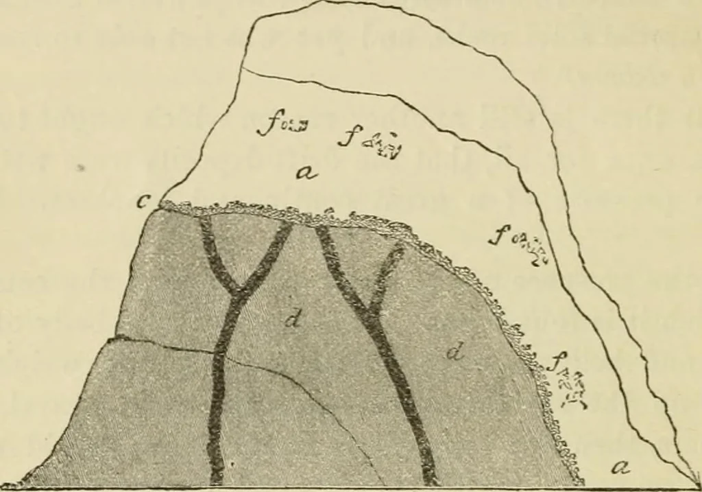 An illustration from Ragnarok: the age of fire and gravel, 1883, leaf 51