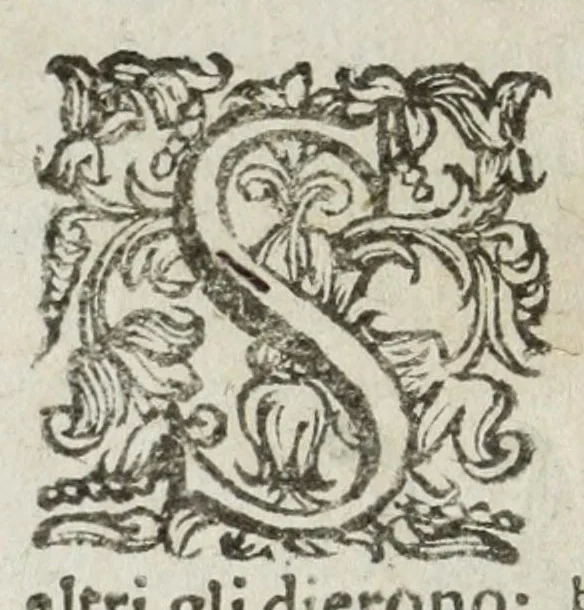 An illustration from Raguagli della città d'Auellino, 1656, leaf 94
