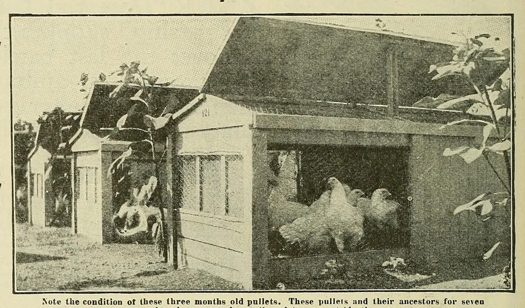 An illustration from Railroad man's magazine, 1906, leaf 890