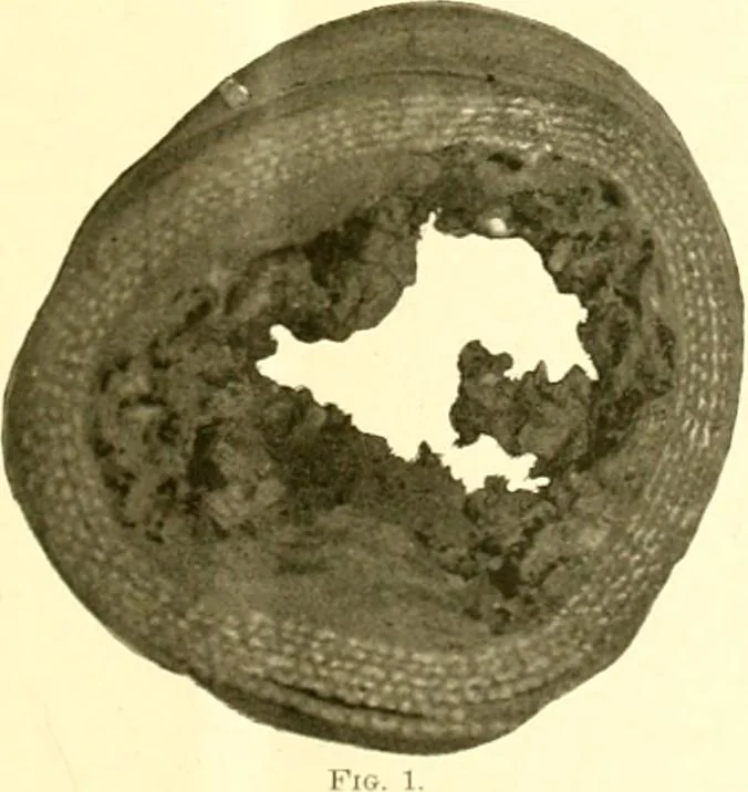An illustration from Railway master mechanic, 1878, leaf 308