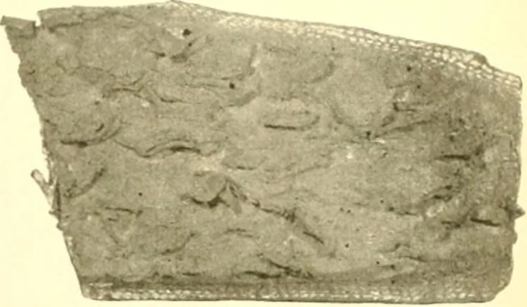 An illustration from Railway master mechanic, 1878, leaf 308