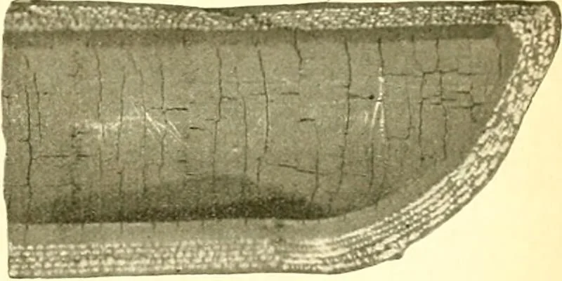 An illustration from Railway master mechanic, 1878, leaf 308