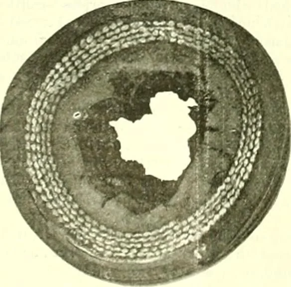 An illustration from Railway master mechanic, 1878, leaf 321