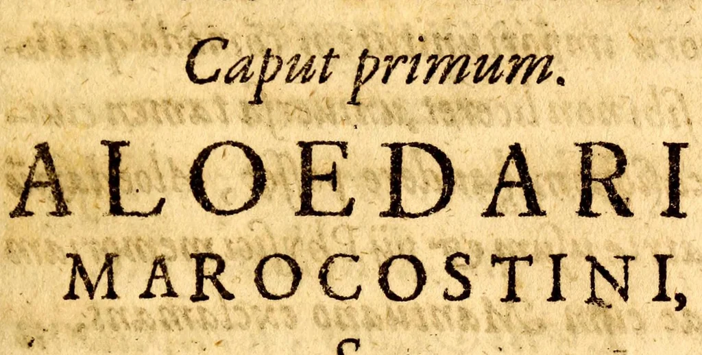An illustration from Raimundi Mindereri medicinae doctoris ac reip: Augustanae phÿsici Aloedarium marocostinum, 1616, leaf 35
