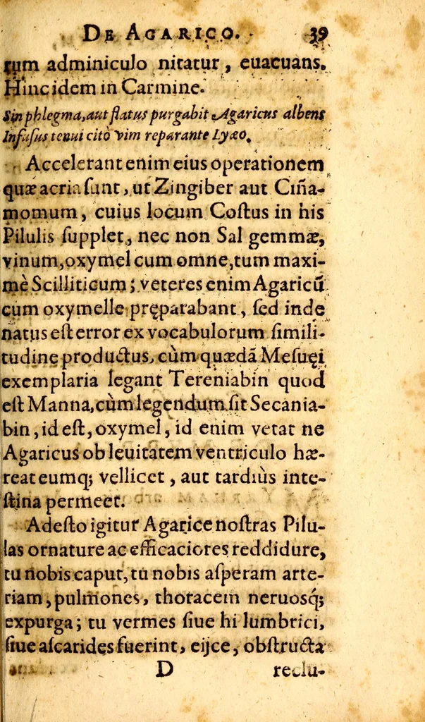 An illustration from Raimundi Mindereri medicinae doctoris ac reip: Augustanae phÿsici Aloedarium marocostinum, 1616, leaf 73