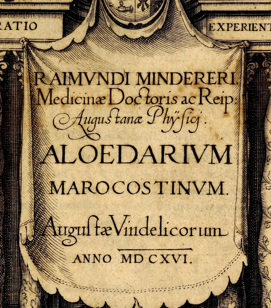 An illustration from Raimundi Mindereri medicinae doctoris ac reip: Augustanae phÿsici Aloedarium marocostinum, 1616, leaf 9