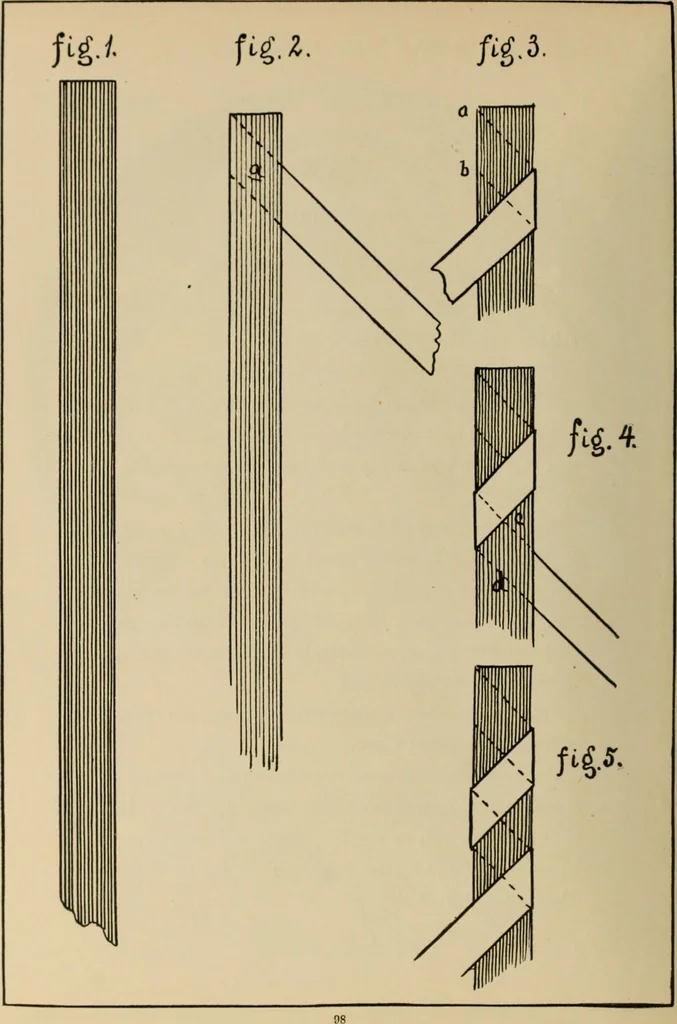 An illustration from Rainy day pastimes for children, 1910, leaf 101