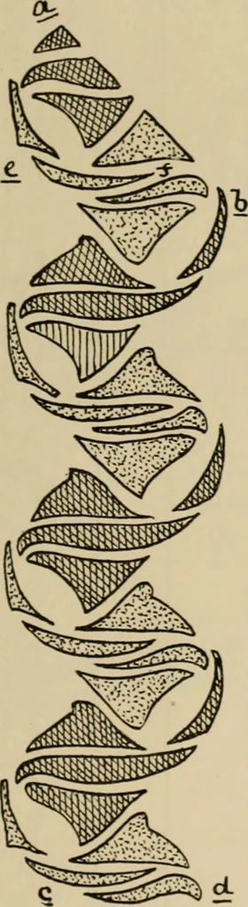 An illustration from Rainy day pastimes for children, 1910, leaf 74