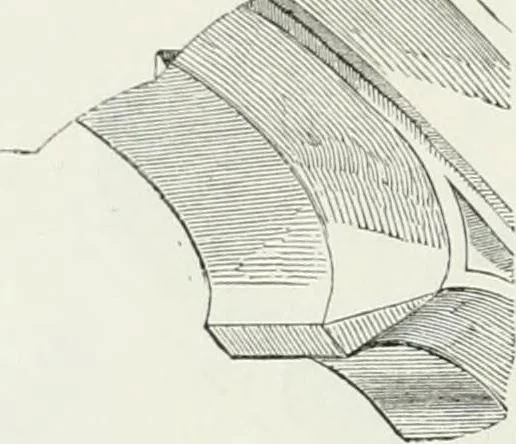 An illustration from Dictionnaire raisonné de l'architecture française du XIe au XVIe siècle, 1875, leaf 101