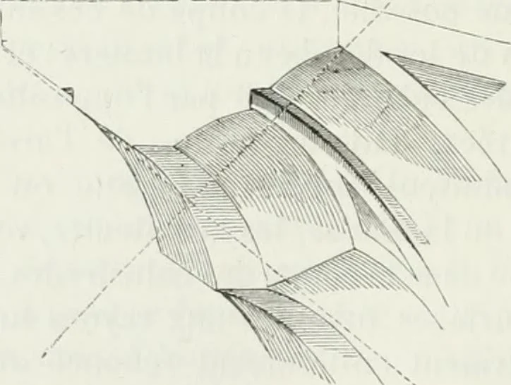 An illustration from Dictionnaire raisonné de l'architecture française du XIe au XVIe siècle, 1875, leaf 101