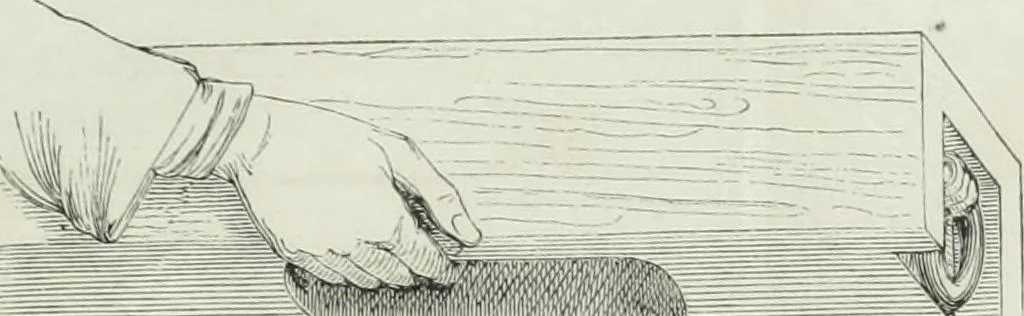 An illustration from Dictionnaire raisonné de l'architecture française du XIe au XVIe siècle, 1875, leaf 132