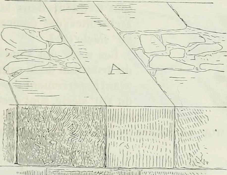 An illustration from Dictionnaire raisonné de l'architecture française du XIe au XVIe siècle, 1875, leaf 250