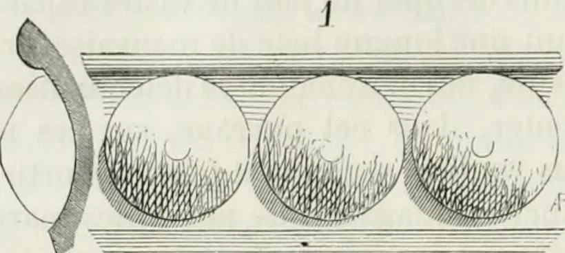 An illustration from Dictionnaire raisonné de l'architecture française du XIe au XVIe siècle, 1875, leaf 251
