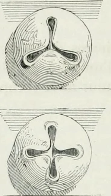 An illustration from Dictionnaire raisonné de l'architecture française du XIe au XVIe siècle, 1875, leaf 251