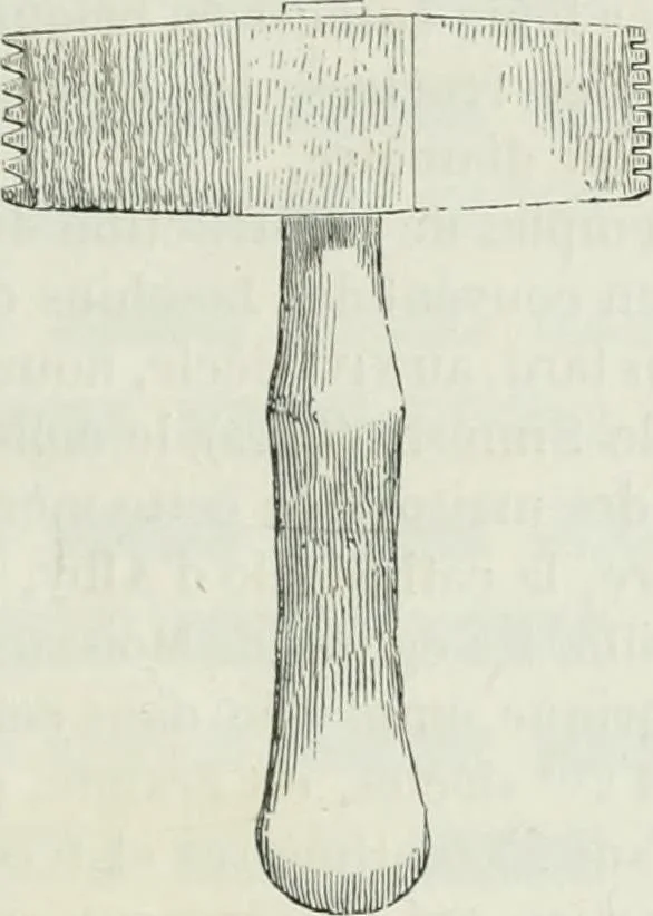 An illustration from Dictionnaire raisonné de l'architecture française du XIe au XVIe siècle, 1875, leaf 258