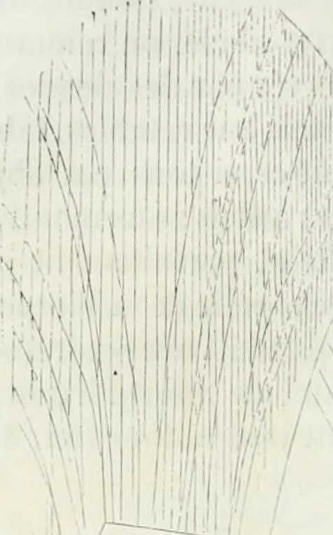 An illustration from Dictionnaire raisonné de l'architecture française du XIe au XVIe siècle, 1875, leaf 55