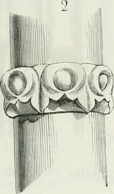 An illustration from Dictionnaire raisonné de l'architecture française du XIe au XVIe siècle, 1875, leaf 70