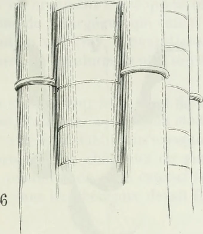 An illustration from Dictionnaire raisonné de l'architecture française du XIe au XVIe siècle, 1875, leaf 72