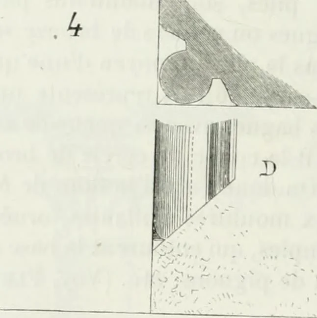 An illustration from Dictionnaire raisonné de l'architecture française du XIe au XVIe siècle, 1875, leaf 73