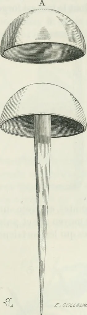 An illustration from Dictionnaire raisonné de l'architecture française du XIe au XVIe siècle, 1875, leaf 480