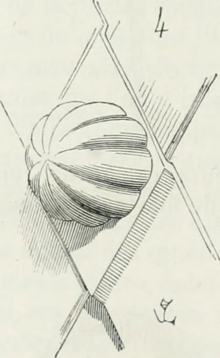 An illustration from Dictionnaire raisonné de l'architecture française du XIe au XVIe siècle, 1875, leaf 481