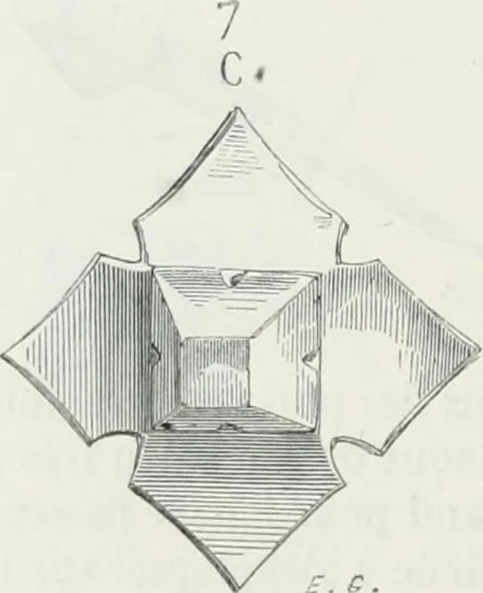 An illustration from Dictionnaire raisonné de l'architecture française du XIe au XVIe siècle, 1875, leaf 483