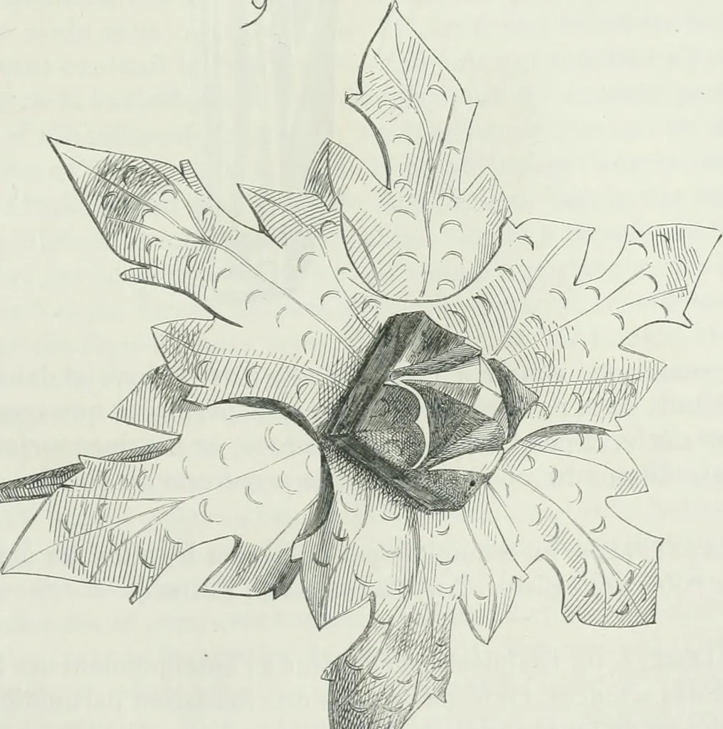 An illustration from Dictionnaire raisonné de l'architecture française du XIe au XVIe siècle, 1875, leaf 484
