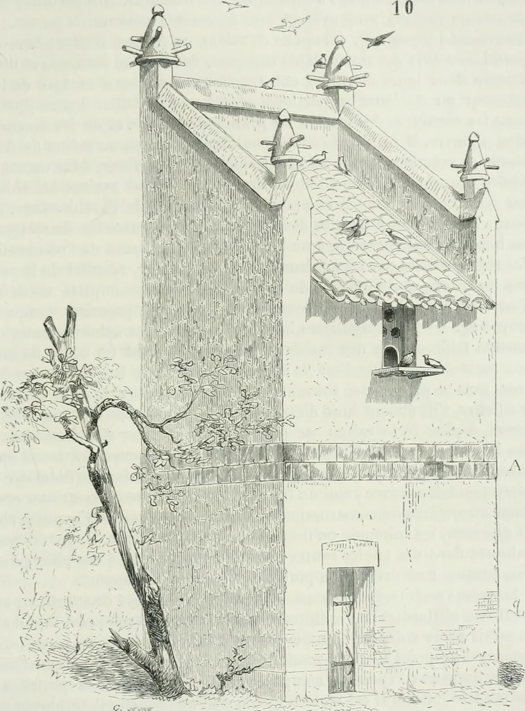 An illustration from Dictionnaire raisonné de l'architecture française du XIe au XVIe siècle, 1875, leaf 500