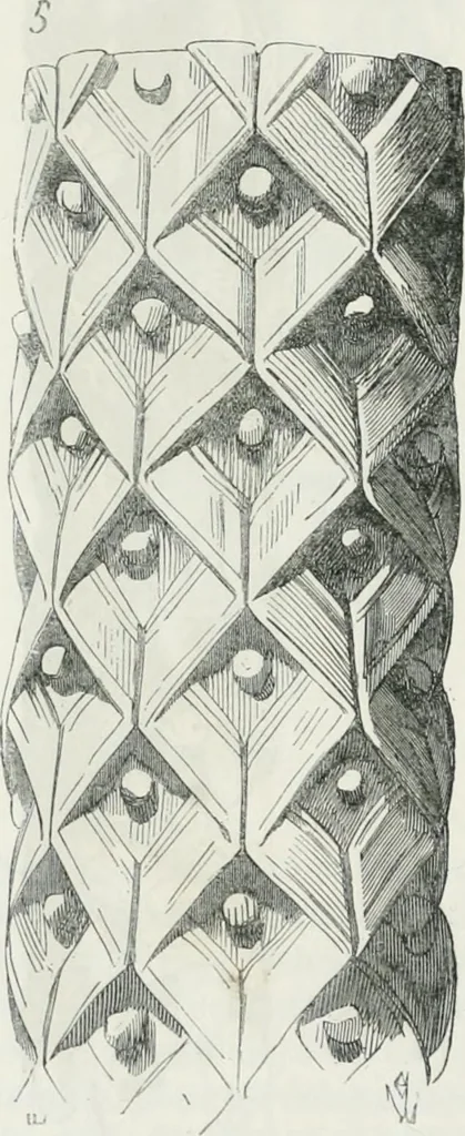 An illustration from Dictionnaire raisonné de l'architecture française du XIe au XVIe siècle, 1875, leaf 509