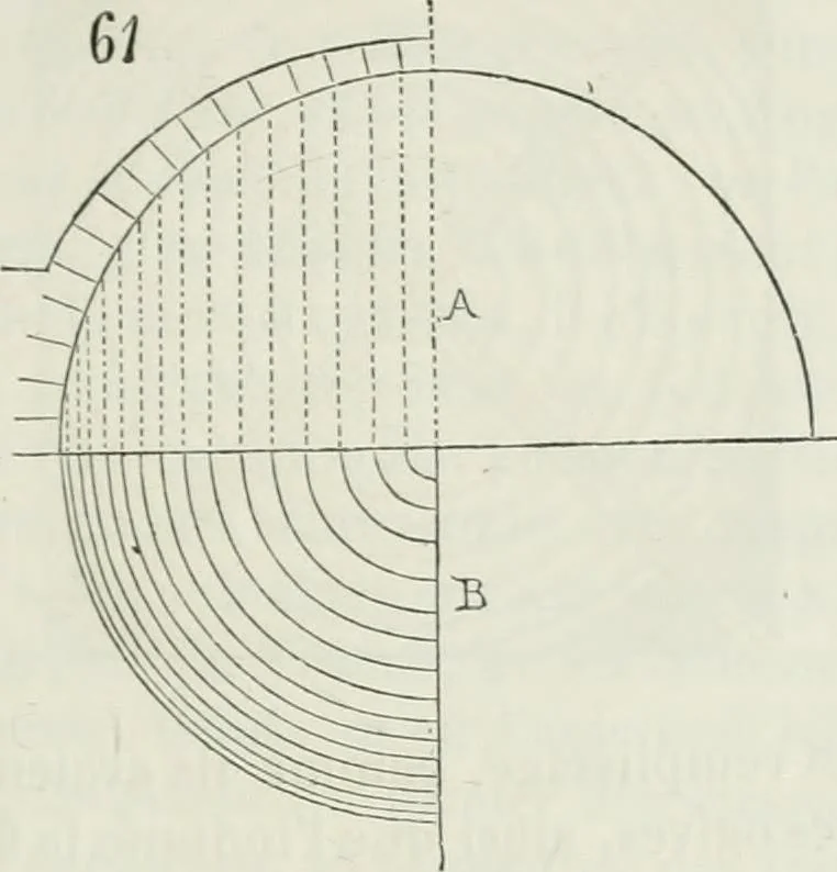 An illustration from Dictionnaire raisonné de l'architecture française du XIe au XVIe siècle, 1875, leaf 118