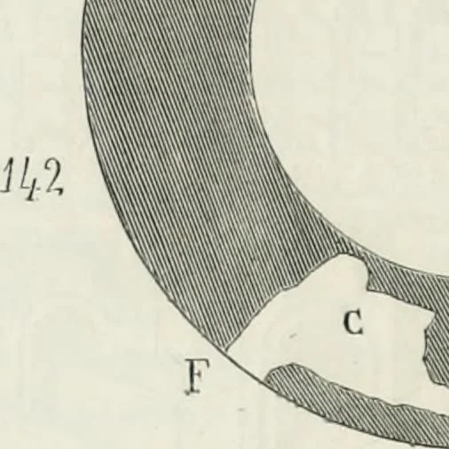 An illustration from Dictionnaire raisonné de l'architecture française du XIe au XVIe siècle, 1875, leaf 269